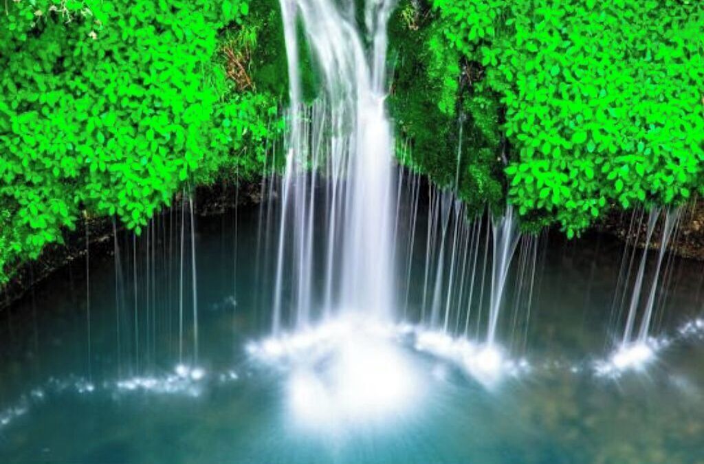 A waterfall surrounded by dense green foliage.