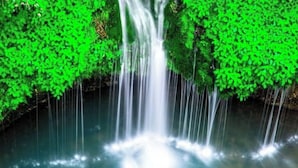Une cascade entourée d’une végétation luxuriante.