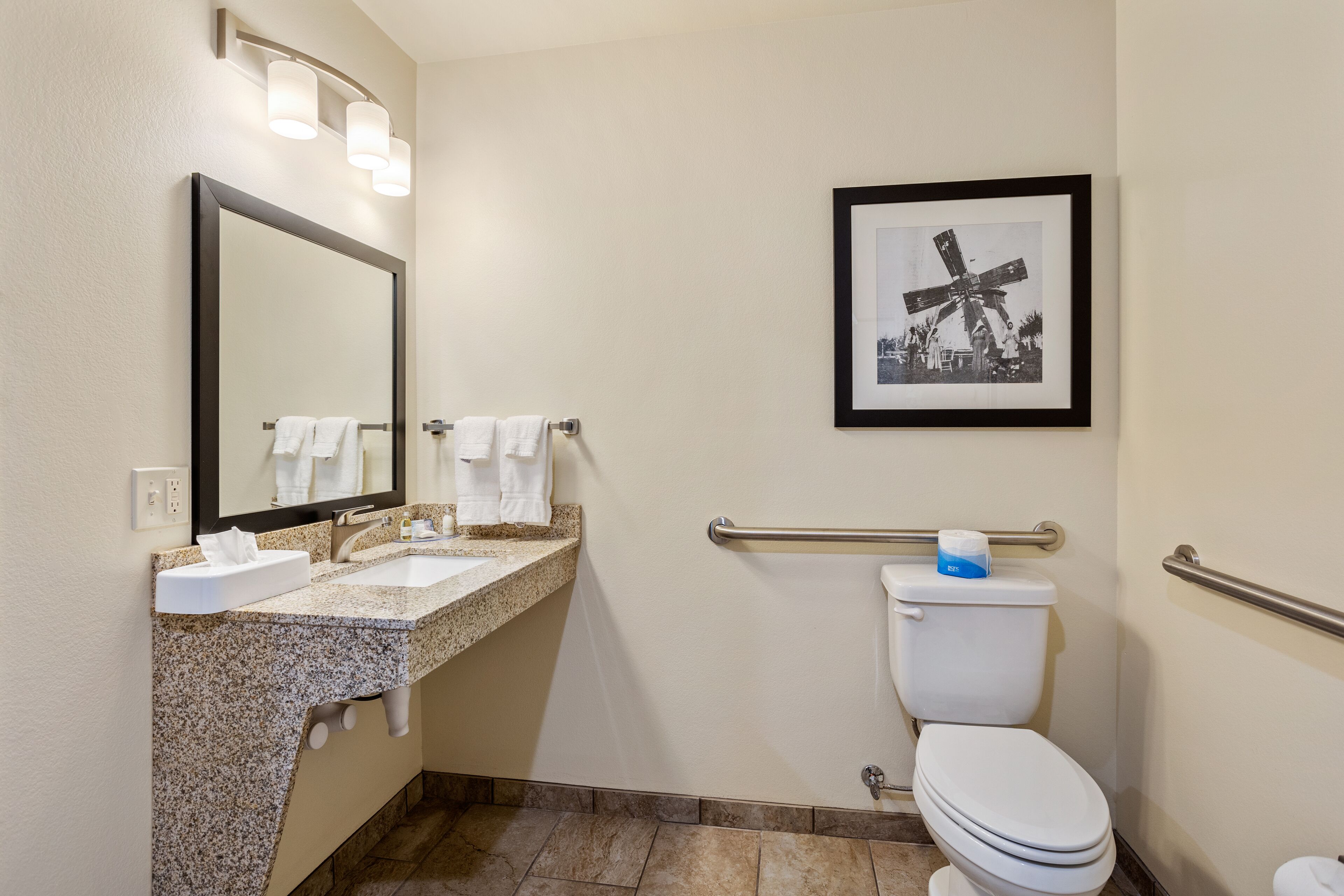 A bathroom with a granite countertop sink, a mirror, a framed picture on the wall, a toilet with a handrail, and a towel rack.