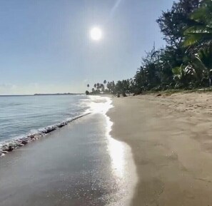 Camastros y toallas de playa