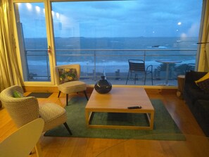 Televisio, DVD-soitin, kirjoja, videokirjasto