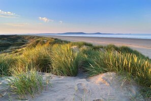 Une plage avec des dunes de sable et de l’herbe.