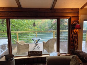 Smart TV, chimenea, reproductor de DVD y libros 