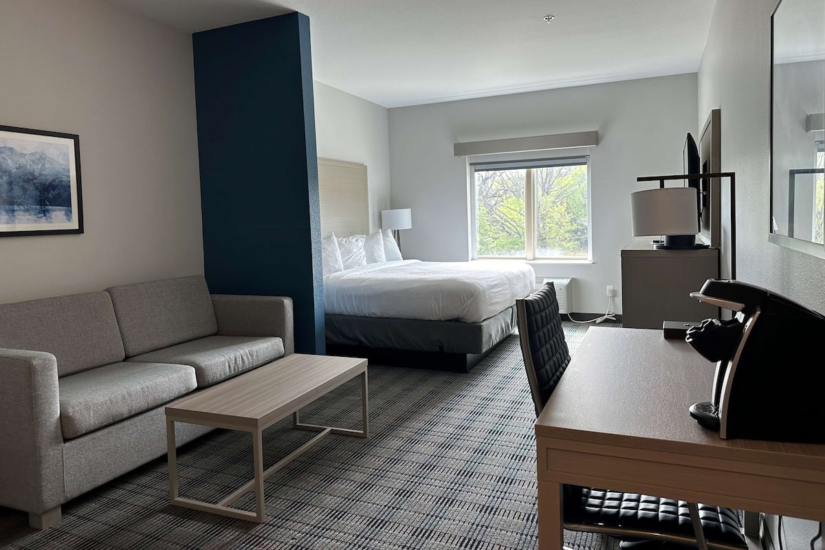 A hotel room with a bed, a sofa, a desk, and a window with a view of trees.