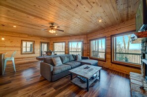 TV, fireplace