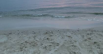 Across the street from the beach!