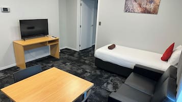 Flat-screen TV