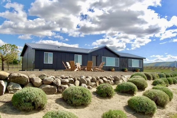 Tinte Cellars Red Mountain Retreat (view from vineyards)