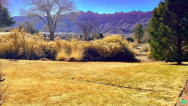 A dry grass field with a mountain range in the background. - The Tumbleweed at Solano (Moab)