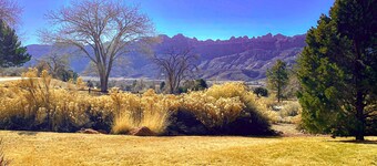 The Tumbleweed at Solano