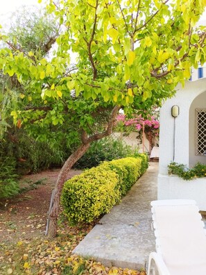 Terrein van de accommodatie