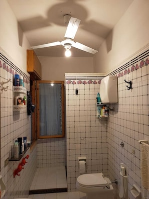 Shower, hair dryer, bidet, towels