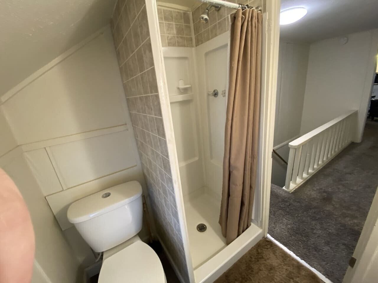 Shower, towels, soap, toilet paper
