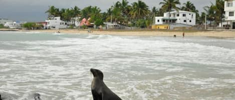 Plage