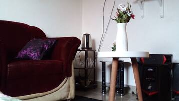 Fernseher, Stereoanlage