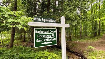 A signpost in a wooded area with directions to White Squirrel Lane, Basketball Court, Horseshoe Pit, and Sand Volleyball.