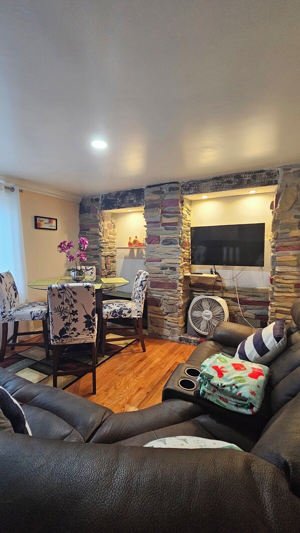 TV, fireplace, DVD player, books