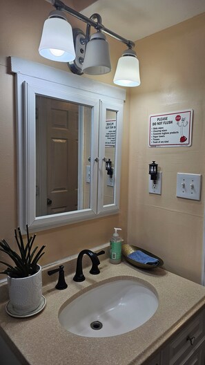 Combined shower/bathtub, bidet, towels, soap
