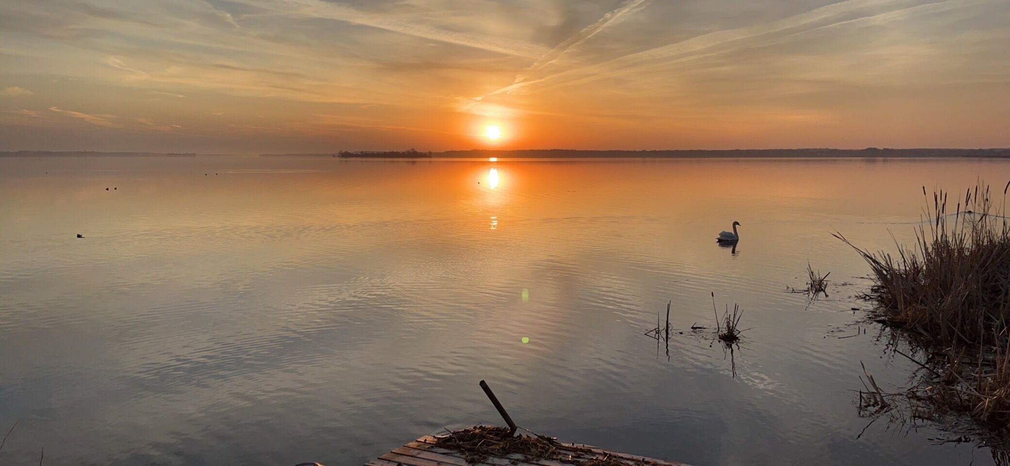 Un lago tranquilo al atardecer con un cisne en el agua y un muelle en primer plano.