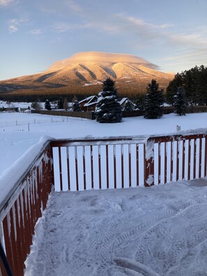 Terrain de l’hébergement 