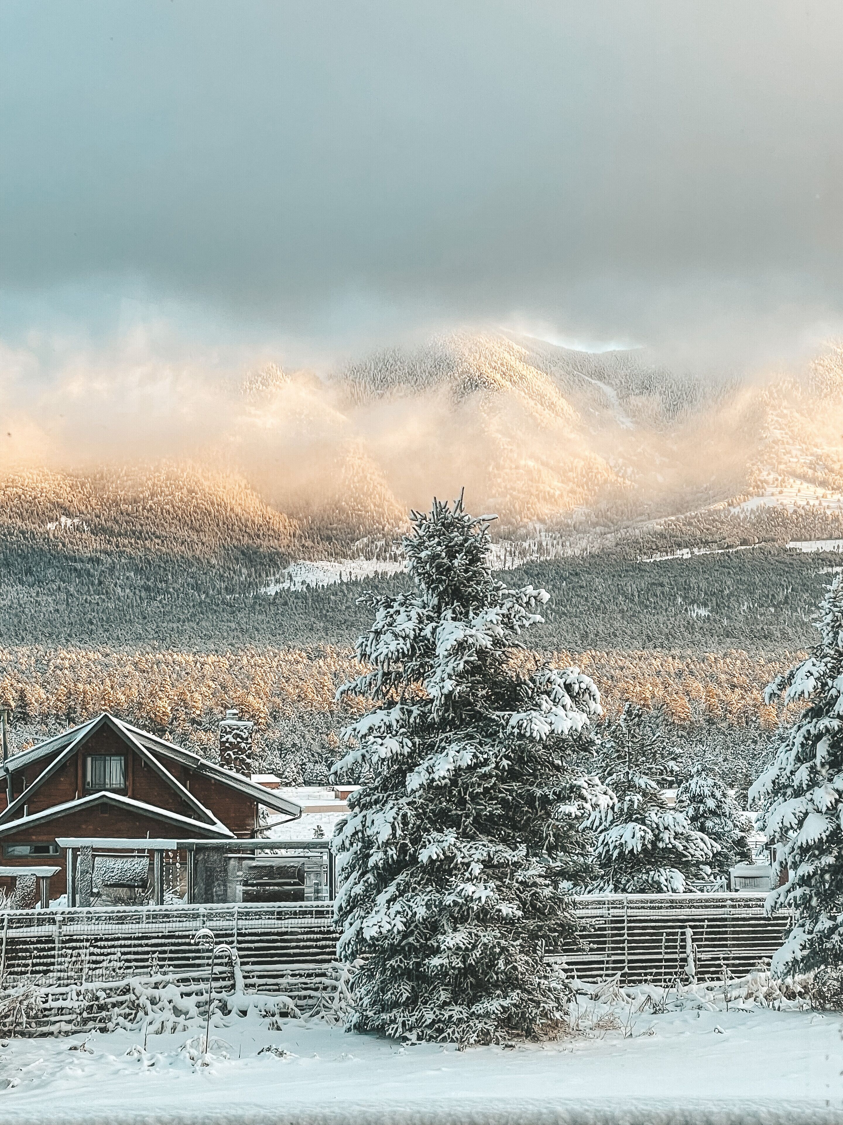 A cabin with a sloped roof, surrounded by snow-covered trees and a mountainous backdrop.