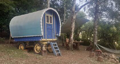 Stunning countryside bow top wagon