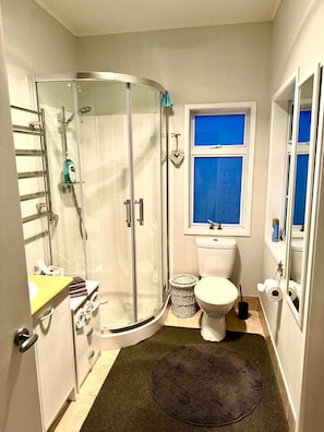 Shower, bidet, towels, soap