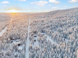 A snow-covered forest with cabins and a clear sky.