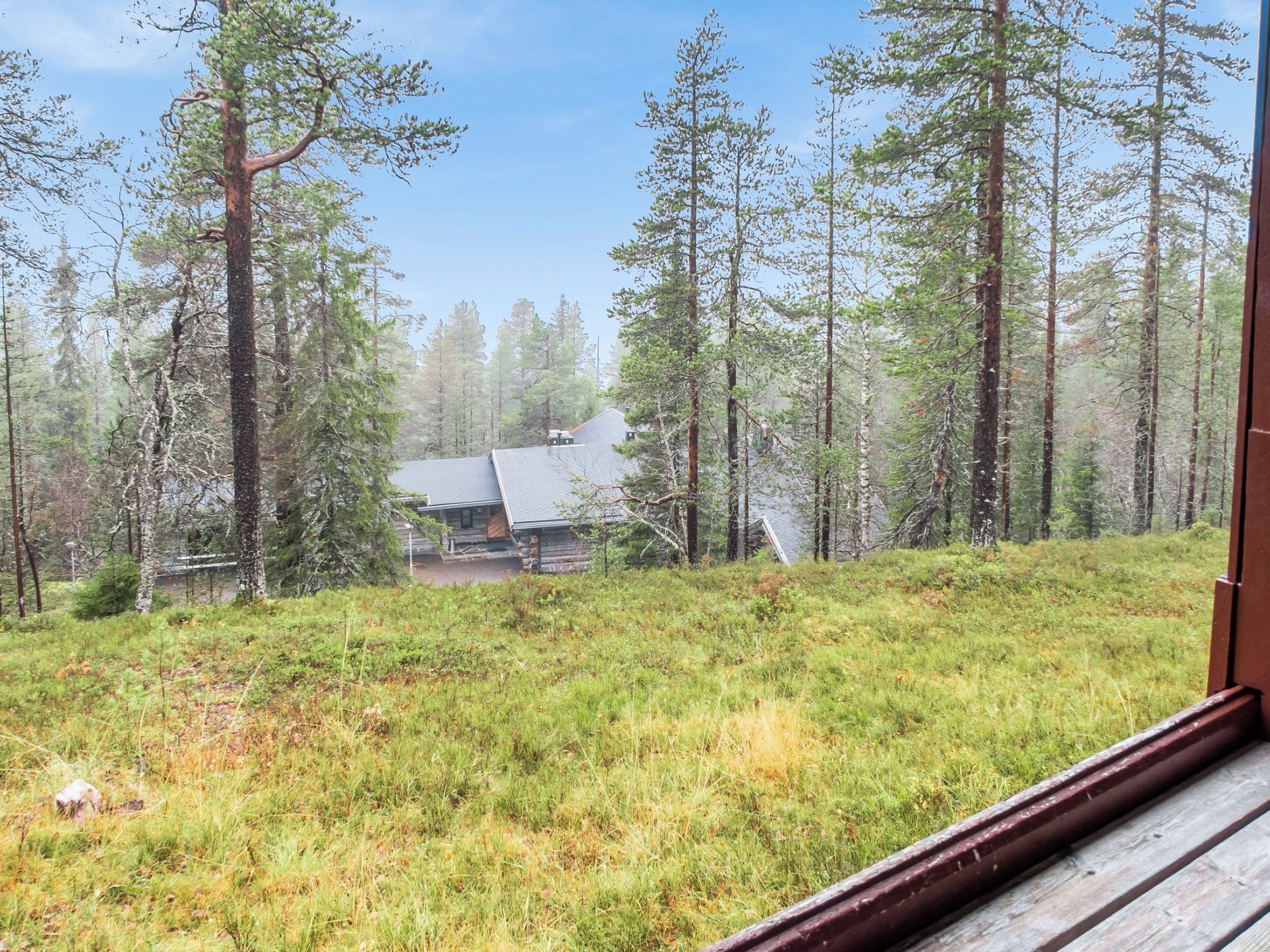 Een chalet in een bos met vrij uitzicht op de omliggende bomen en een grasveld.