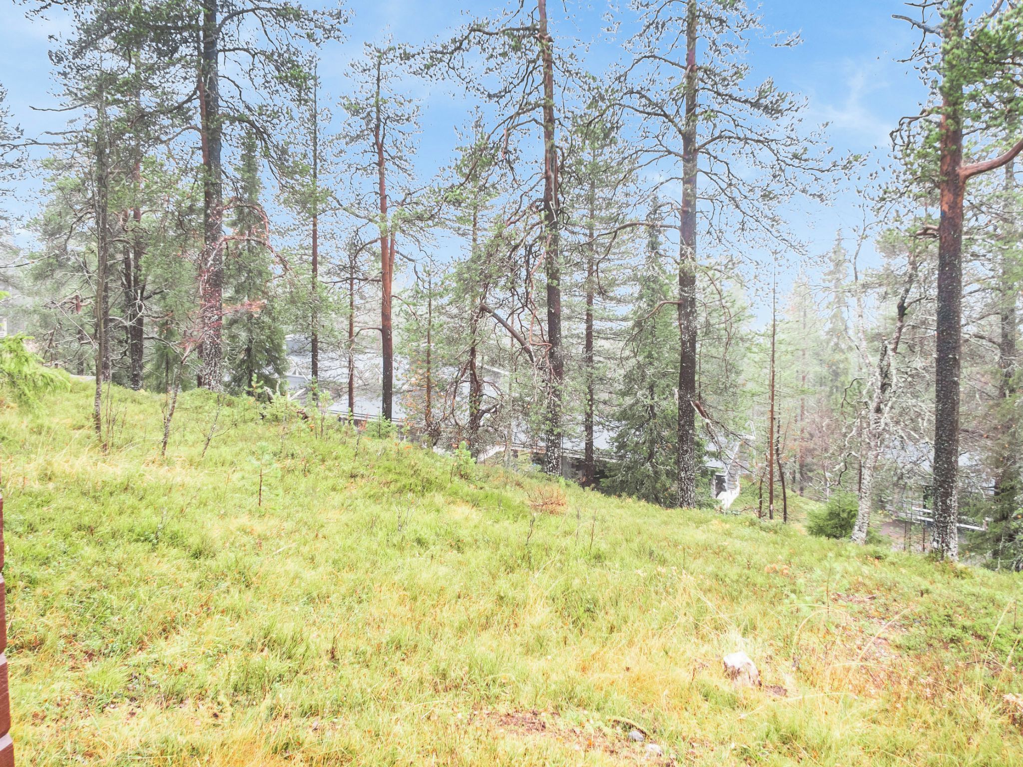 Une colline boisée, avec une grande variété d’arbres, et un terrain herbeux au premier plan.