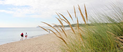 Playa en los alrededores