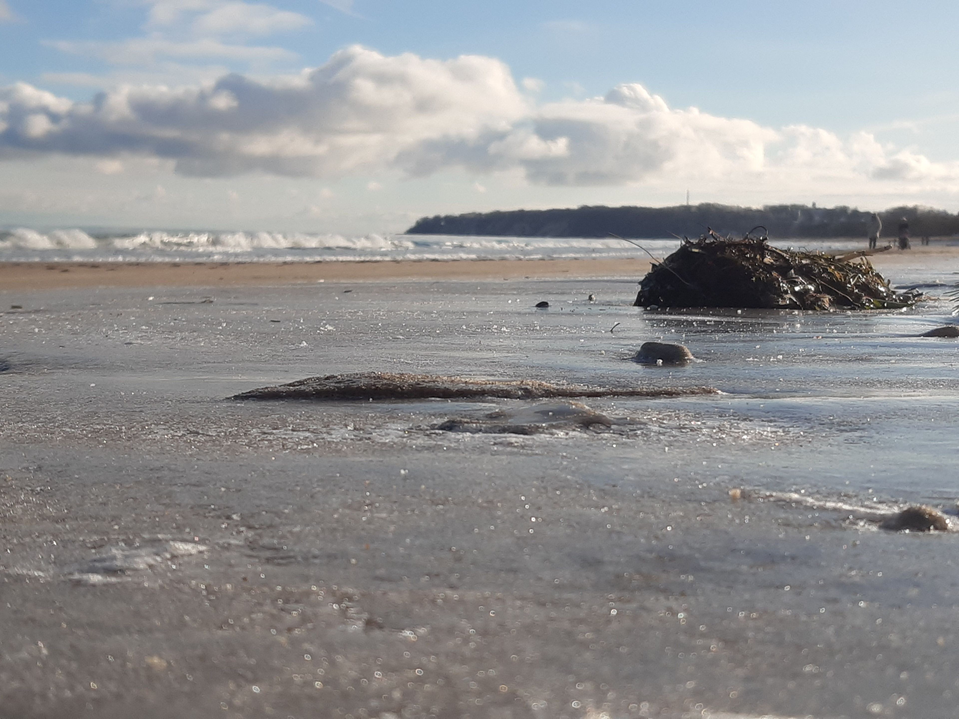 A beach with waves, a pile of seaweed, and a distant shoreline.