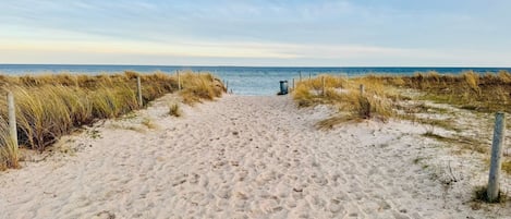 Tæt på stranden