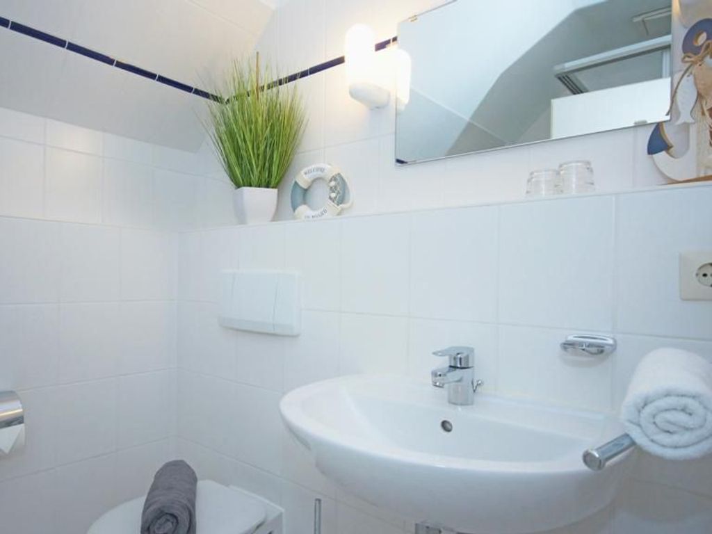 A bathroom with a white sink, a toilet, a mirror, and a potted plant.