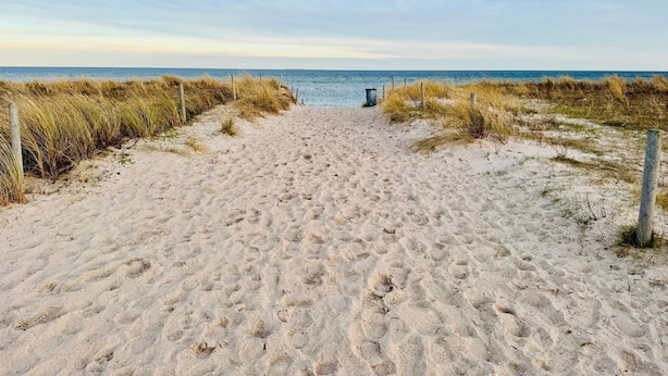 A sandy beach path leading to the sea, bordered by grass and wooden posts. - Doppelzimmer 33 - Strandhaus Mönchgut (Mönchgut)