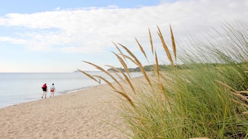 A beach with sand, grass, and the sea.
