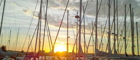 A marina with multiple sailboats docked, a clear sky, and the sun setting in the background.