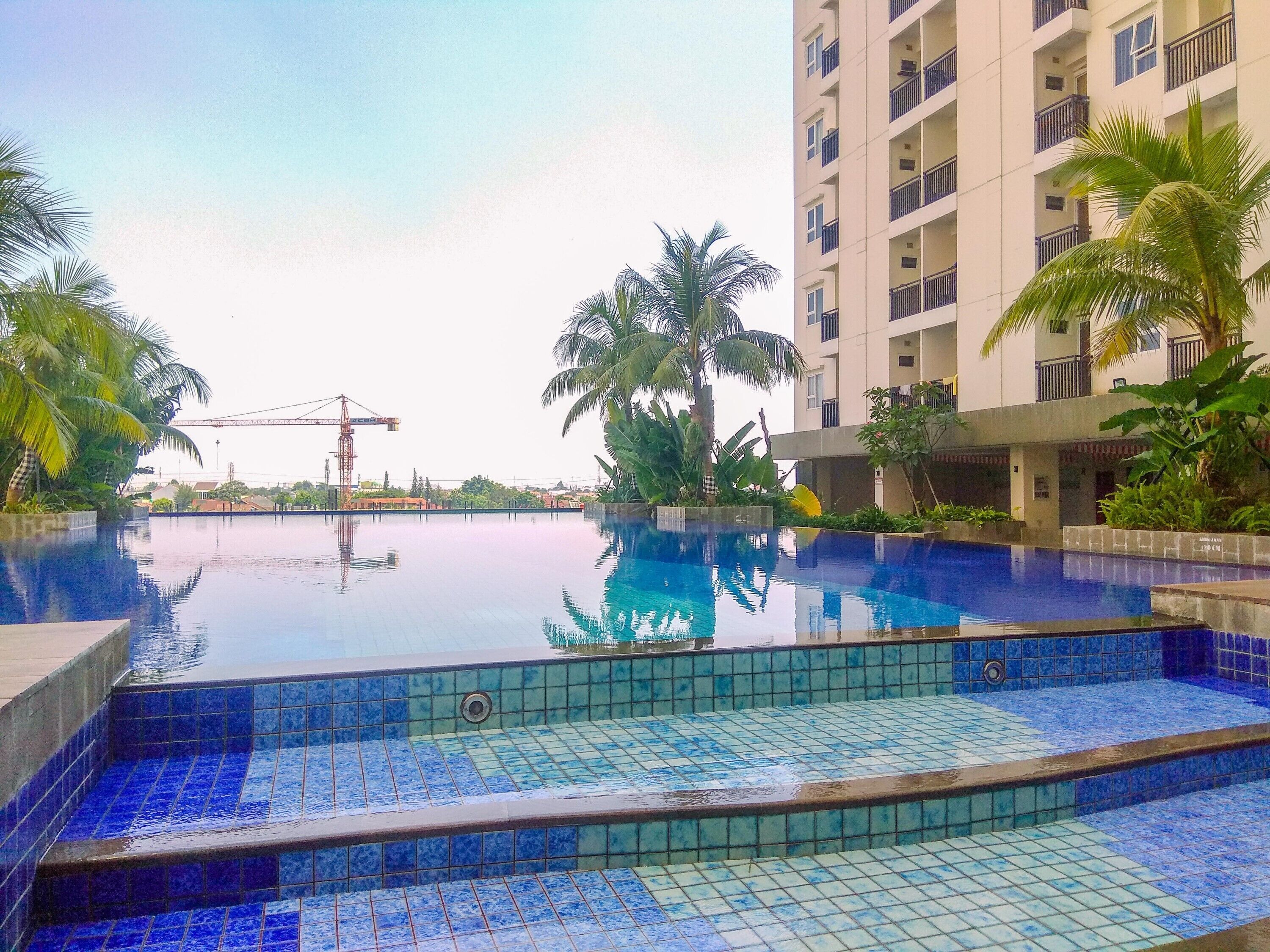 A swimming pool with blue tiles, surrounded by palm trees and a multi-story building.