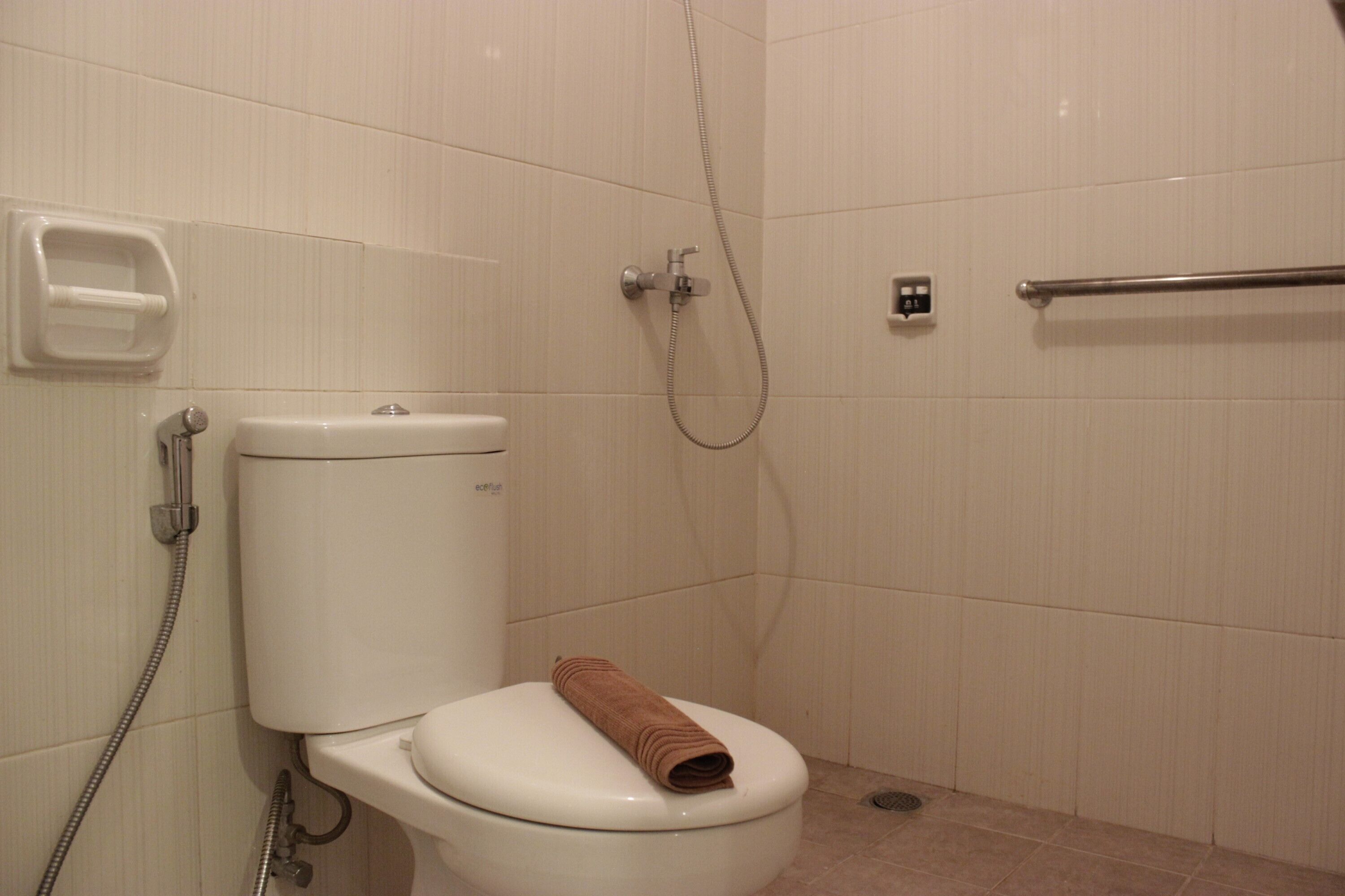 Baño con inodoro, ducha y barra de apoyo.