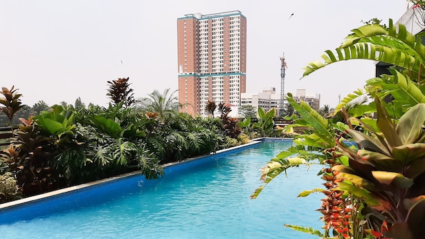 Hồ bơi