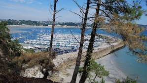 Un puerto deportivo con barcos amarrados, rodeado de árboles y una playa.