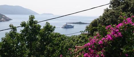 Vista costera con un barco a lo lejos, exuberante vegetación y flores rosadas.