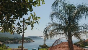 Vista costera con una palmera, cielo despejado y un pueblo distante junto al mar.