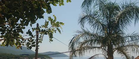 A coastal view with a palm tree, a clear sky, and a distant town by the sea.