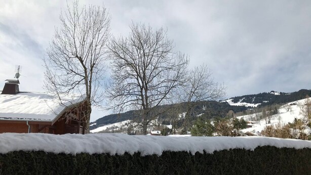Paisatge nevós amb una casa i arbres sense fulles.