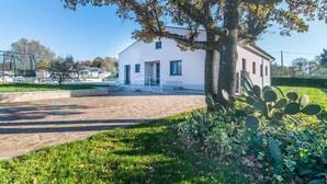 A modern building with a paved entrance and a large tree in the foreground. - Villa Dolores (Vrsar)