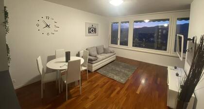 Apartment with a view of Lake Lugano