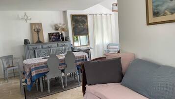TV connectée, cheminée, lecteur de DVD, livres