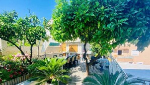 Un patio con mobiliario exterior, una palmera y un edificio al fondo.