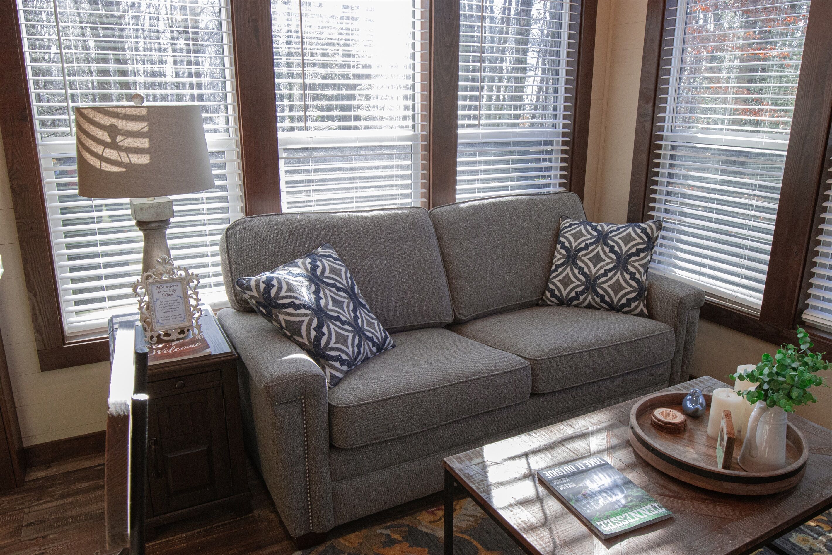 TV, fireplace, DVD player